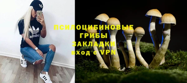 винт Горно-Алтайск