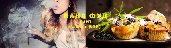 гашик Горнозаводск