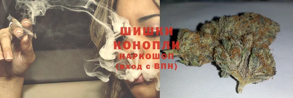 гашик Горнозаводск