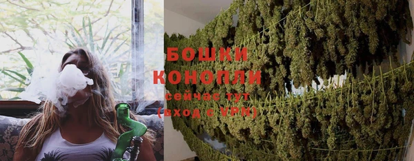 винт Горно-Алтайск