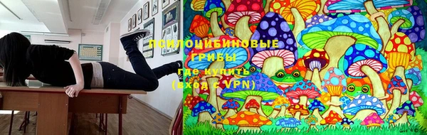 гашик Горнозаводск
