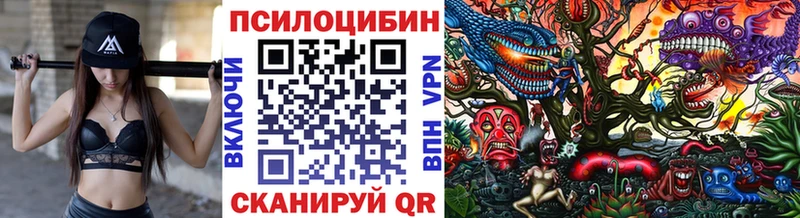 Галлюциногенные грибы ЛСД  Купить где  Когалым 